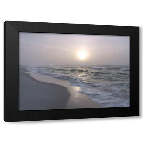 Surf II Black Modern Wood Framed Art Print by Head, Danny