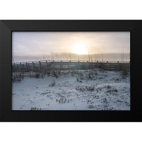 Boardwalk II Black Modern Wood Framed Art Print by Head, Danny