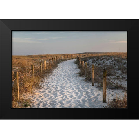 Beach Tracks Black Modern Wood Framed Art Print by Head, Danny