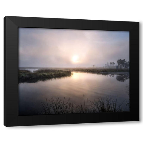 Fog on the Bayou Black Modern Wood Framed Art Print by Head, Danny