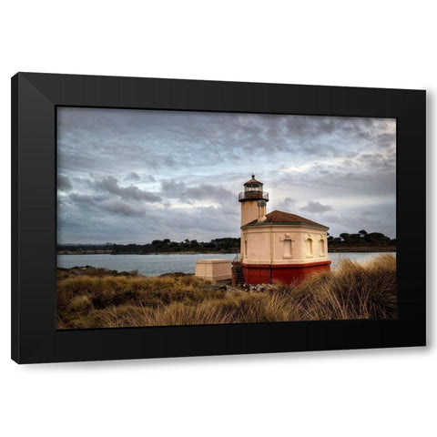 Coquilla Light Black Modern Wood Framed Art Print by Head, Danny