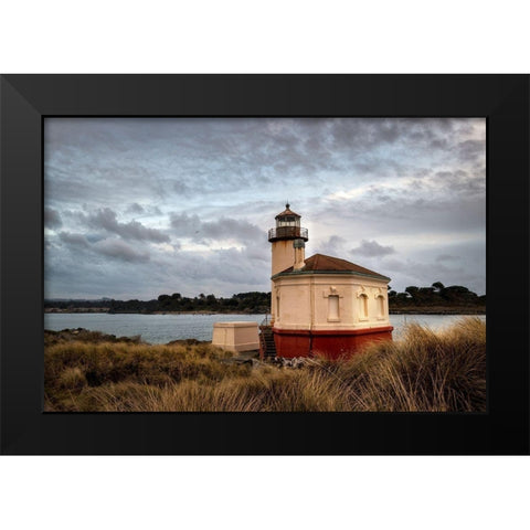 Coquilla Light Black Modern Wood Framed Art Print by Head, Danny