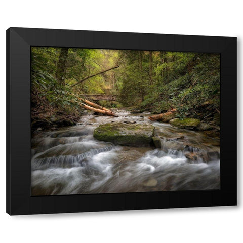 Spring Colors Black Modern Wood Framed Art Print by Head, Danny