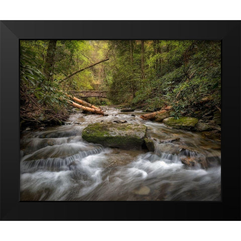 Spring Colors Black Modern Wood Framed Art Print by Head, Danny