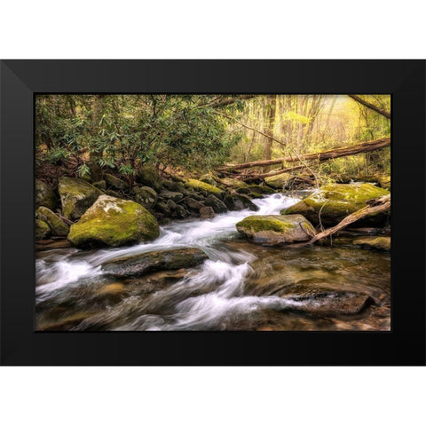 Running FreeI Black Modern Wood Framed Art Print by Head, Danny