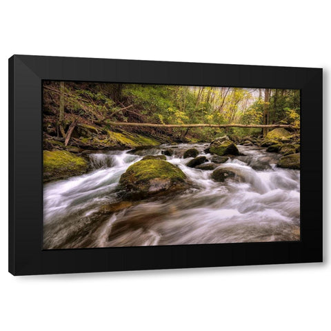 Running Free II Black Modern Wood Framed Art Print by Head, Danny