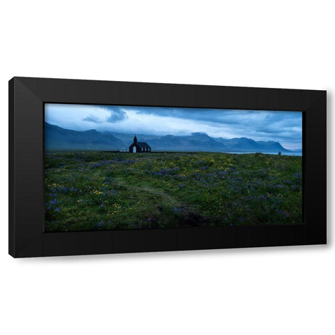 Wildflowers in Yellow and Blue Black Modern Wood Framed Art Print by Head, Danny