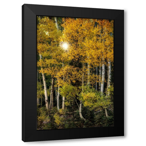 Peeking Through Black Modern Wood Framed Art Print by Head, Danny