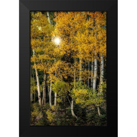 Peeking Through Black Modern Wood Framed Art Print by Head, Danny