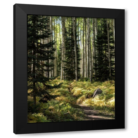 High Country Black Modern Wood Framed Art Print with Double Matting by Head, Danny