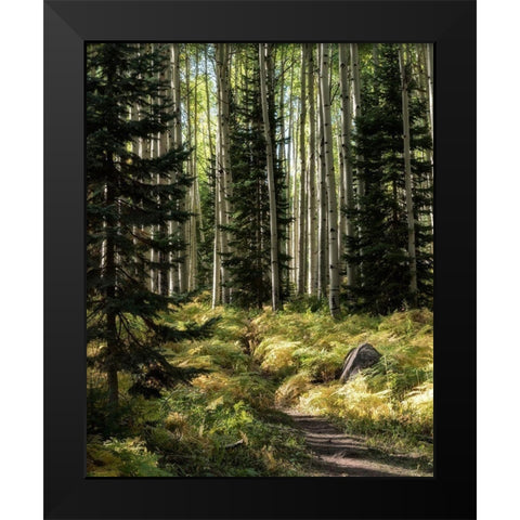 High Country Black Modern Wood Framed Art Print by Head, Danny
