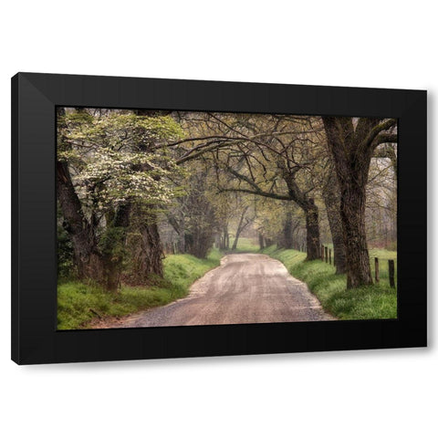 Memory Lane I Black Modern Wood Framed Art Print by Head, Danny