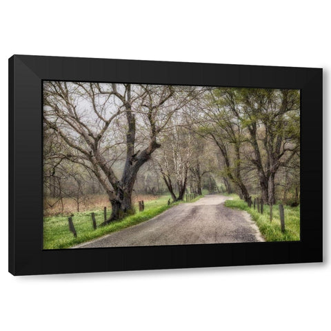 Memory Lane II Black Modern Wood Framed Art Print by Head, Danny