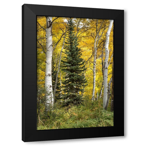 Stuck in the Middle Black Modern Wood Framed Art Print with Double Matting by Head, Danny