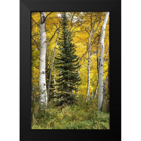 Stuck in the Middle Black Modern Wood Framed Art Print by Head, Danny