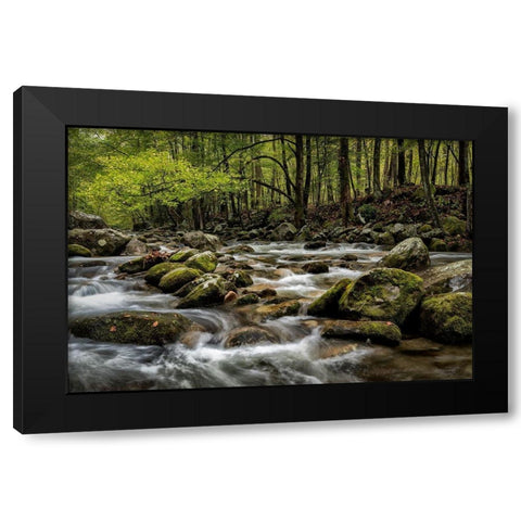 Big Creek Black Modern Wood Framed Art Print with Double Matting by Head, Danny