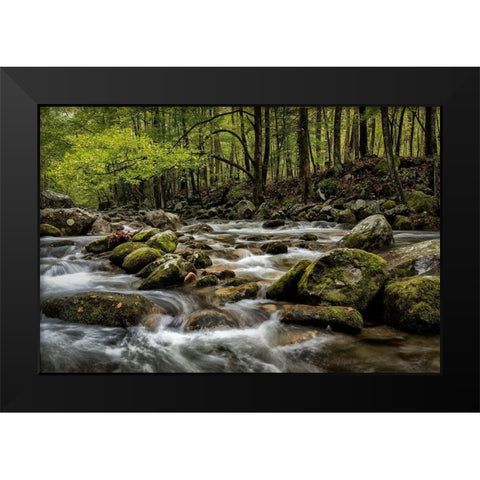 Big Creek Black Modern Wood Framed Art Print by Head, Danny