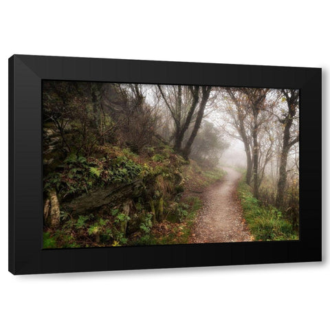 Hikers Dream Black Modern Wood Framed Art Print by Head, Danny
