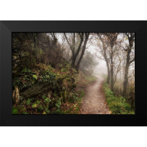 Hikers Dream Black Modern Wood Framed Art Print by Head, Danny