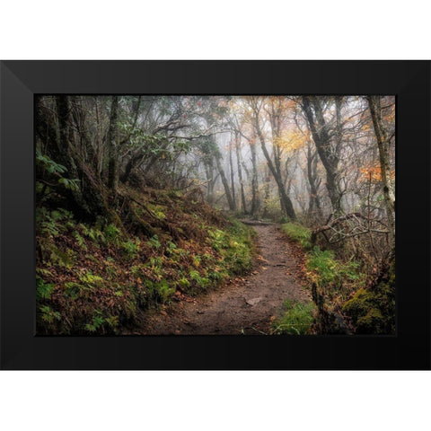Long Walk Black Modern Wood Framed Art Print by Head, Danny