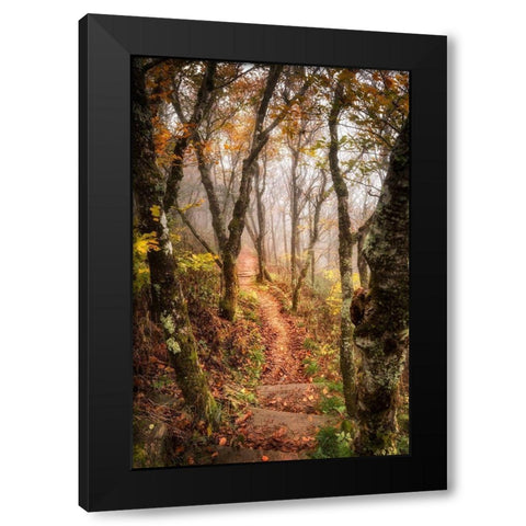 Welcoming Light Black Modern Wood Framed Art Print with Double Matting by Head, Danny