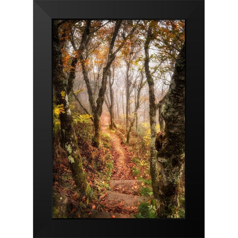 Welcoming Light Black Modern Wood Framed Art Print by Head, Danny