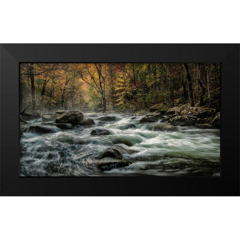 Tremont Morning Black Modern Wood Framed Art Print by Head, Danny