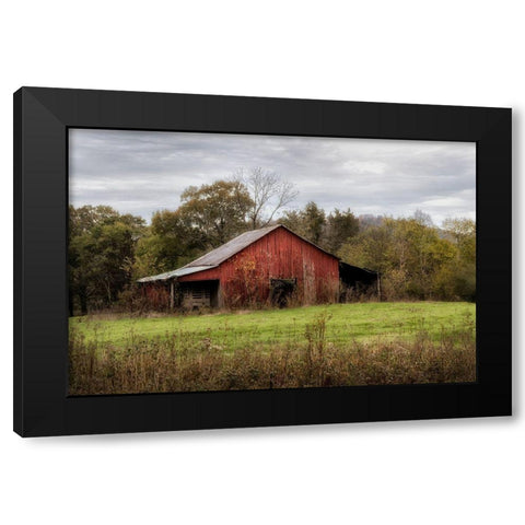 Warm Autumn Black Modern Wood Framed Art Print with Double Matting by Head, Danny