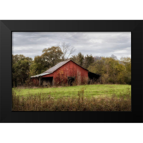 Warm Autumn Black Modern Wood Framed Art Print by Head, Danny