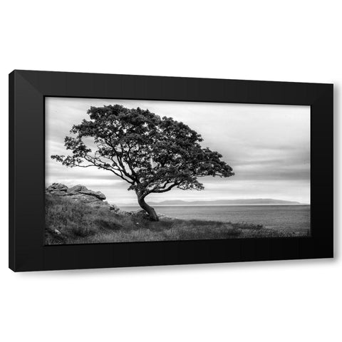 Survivor Black Modern Wood Framed Art Print by Head, Danny