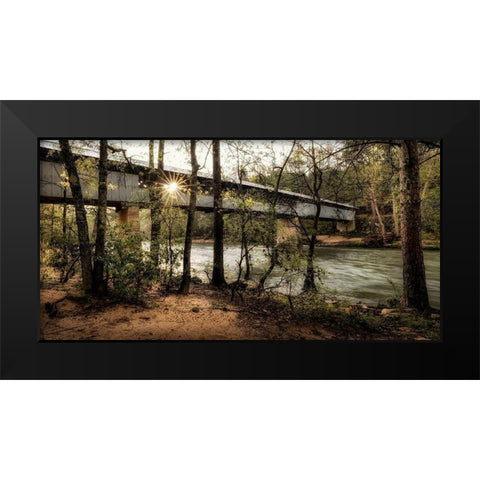 Swann Biridge III Black Modern Wood Framed Art Print by Head, Danny
