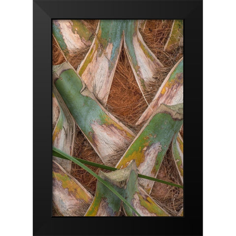 Palm Trunk Detail II Black Modern Wood Framed Art Print by Head, Danny