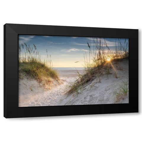 The Dunes Black Modern Wood Framed Art Print by Head, Danny