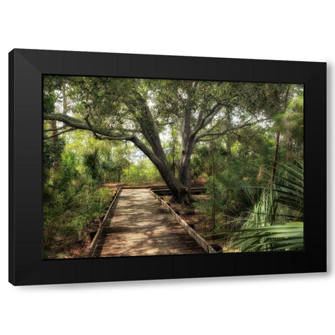 Tropical Walk Black Modern Wood Framed Art Print by Head, Danny