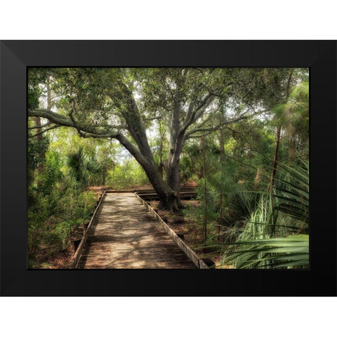 Tropical Walk Black Modern Wood Framed Art Print by Head, Danny