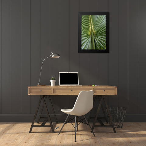Palm Detail I Black Modern Wood Framed Art Print by Head, Danny