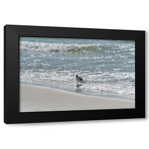 Wading I Black Modern Wood Framed Art Print by Head, Danny