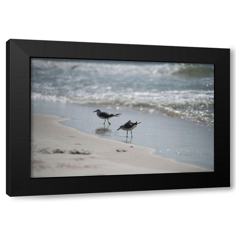 Wading II Black Modern Wood Framed Art Print by Head, Danny
