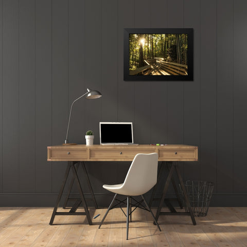 Sunstar Path Black Modern Wood Framed Art Print by Head, Danny