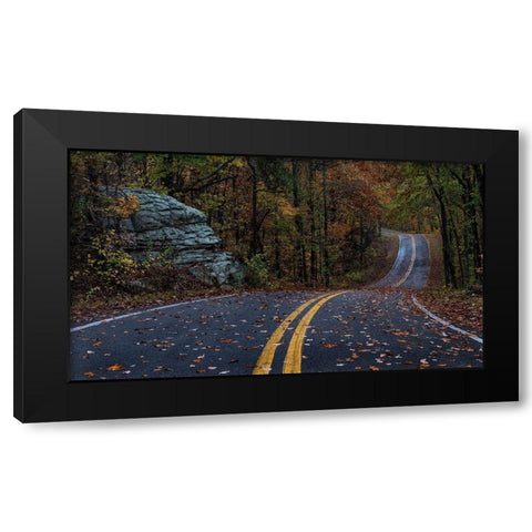 Autumn Drive III Black Modern Wood Framed Art Print with Double Matting by Head, Danny