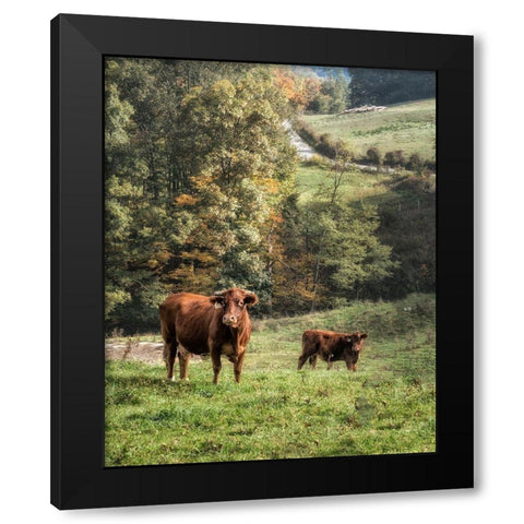 Moo Black Modern Wood Framed Art Print with Double Matting by Head, Danny