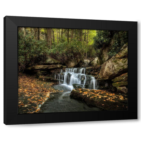 Lower Elakala Falls Black Modern Wood Framed Art Print by Head, Danny