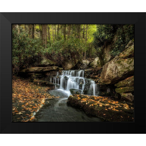 Lower Elakala Falls Black Modern Wood Framed Art Print by Head, Danny