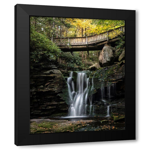 Elakala Falls I Black Modern Wood Framed Art Print by Head, Danny