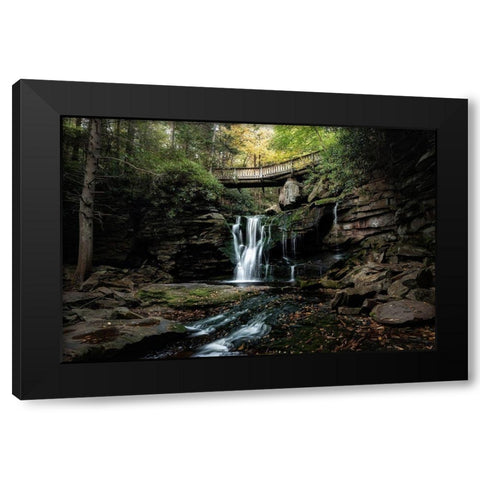 Elakala Falls II Black Modern Wood Framed Art Print by Head, Danny