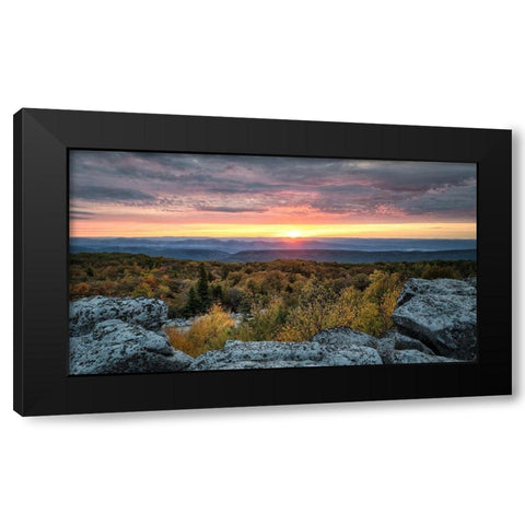 Yellow Dawn I Black Modern Wood Framed Art Print by Head, Danny