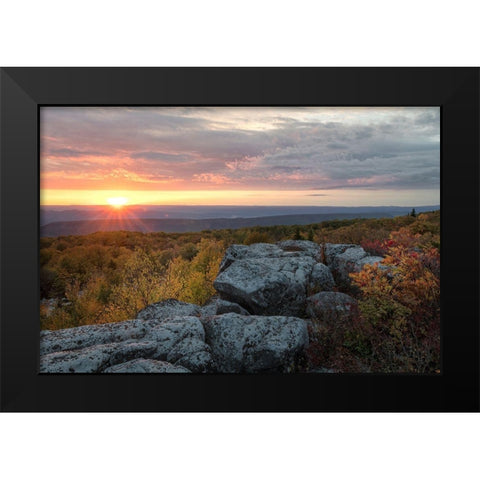 Yellow Dawn II Black Modern Wood Framed Art Print by Head, Danny