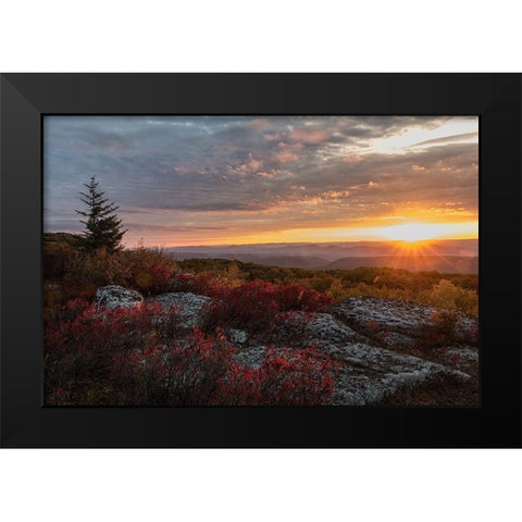 New Day I Black Modern Wood Framed Art Print by Head, Danny