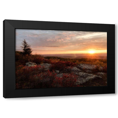 New Day II Black Modern Wood Framed Art Print by Head, Danny