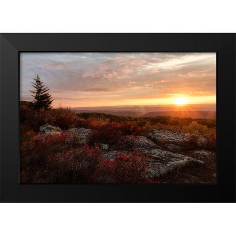 New Day II Black Modern Wood Framed Art Print by Head, Danny